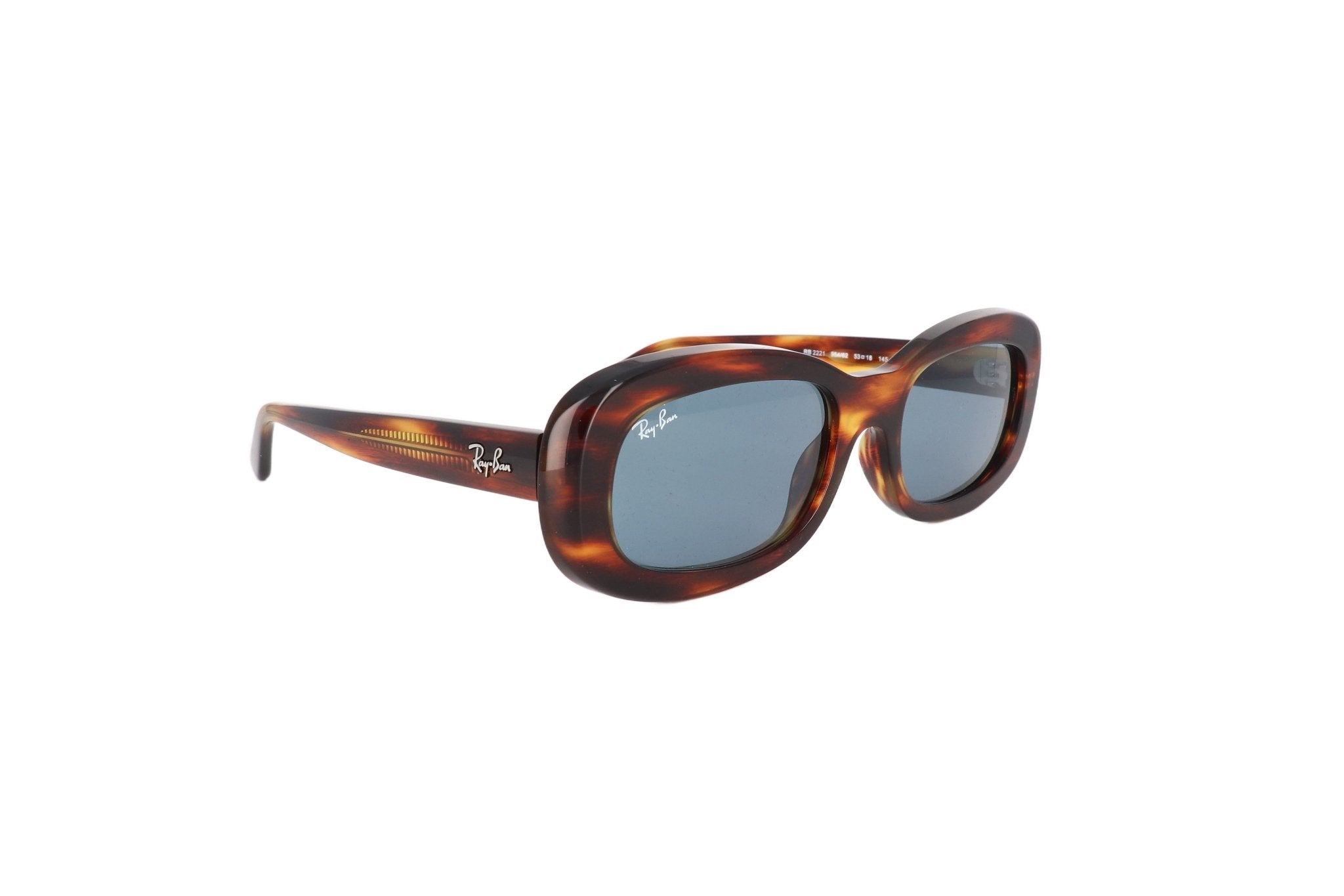 RAY - BAN RB 2221 - Jorge Oculista