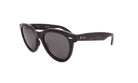 RAY - BAN RB 2241 - Jorge Oculista