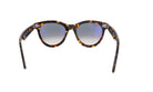 RAY - BAN RB 2241 - Jorge Oculista