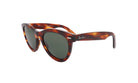 RAY - BAN RB 2241 - Jorge Oculista