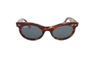 RAY - BAN RB 2242 - Jorge Oculista
