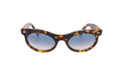 RAY - BAN RB 2242 - Jorge Oculista
