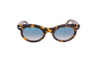 RAY - BAN RB 2242 - Jorge Oculista