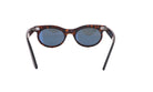 RAY - BAN RB 2242 - Jorge Oculista