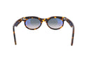 RAY - BAN RB 2242 - Jorge Oculista