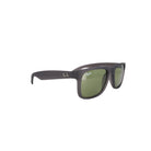 RAY - BAN RB 4165 - Jorge Oculista
