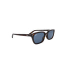 RAY - BAN RB 4456 - Jorge Oculista