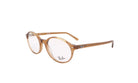 RAY - BAN RX 5429 - Jorge Oculista