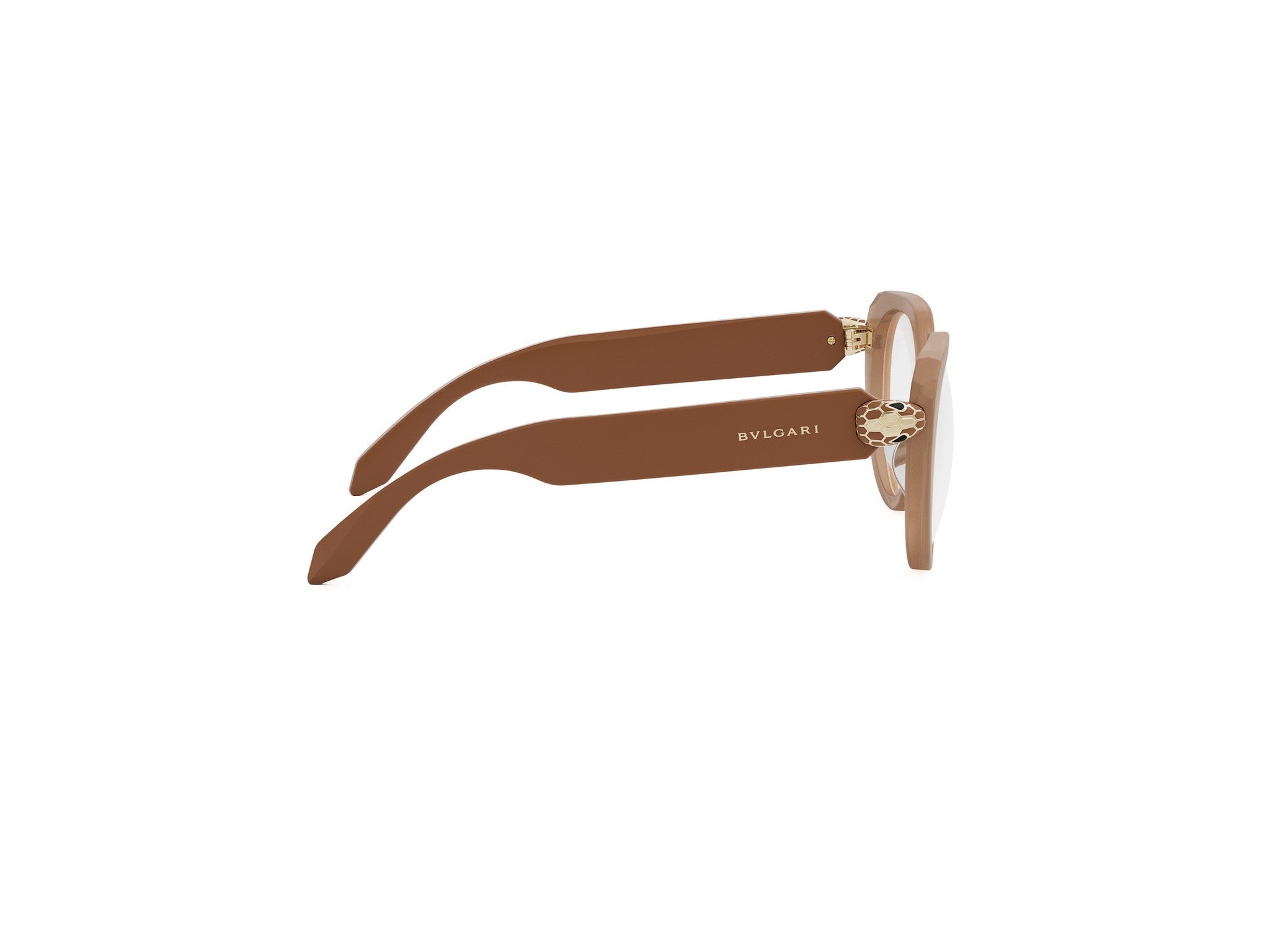 SERPENTI FOREVER CAT EYE EYEGLASSES - Jorge Oculista