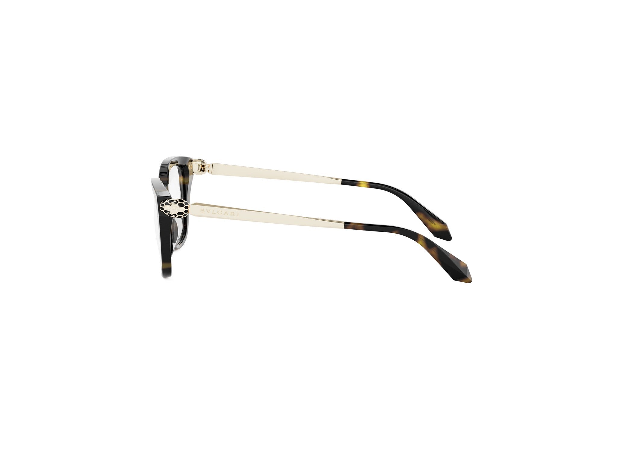 SERPENTI FOREVER CAT EYE EYEGLASSES - Jorge Oculista