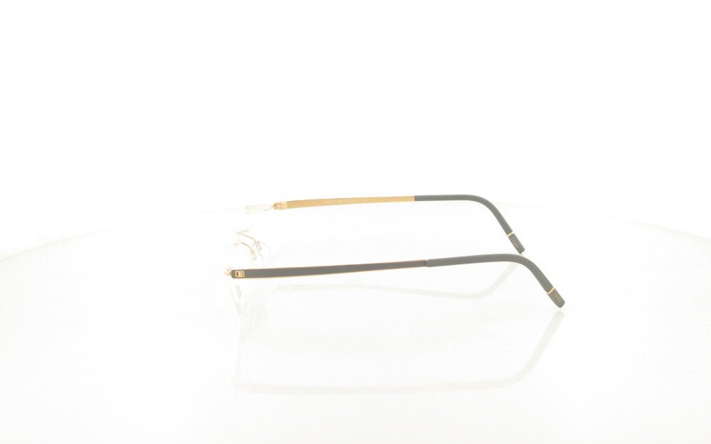 SILHOUETTE MOMENTUM 5529 - Jorge Oculista