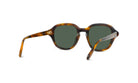 SLIM ROUND SUNGLASSES - Jorge Oculista