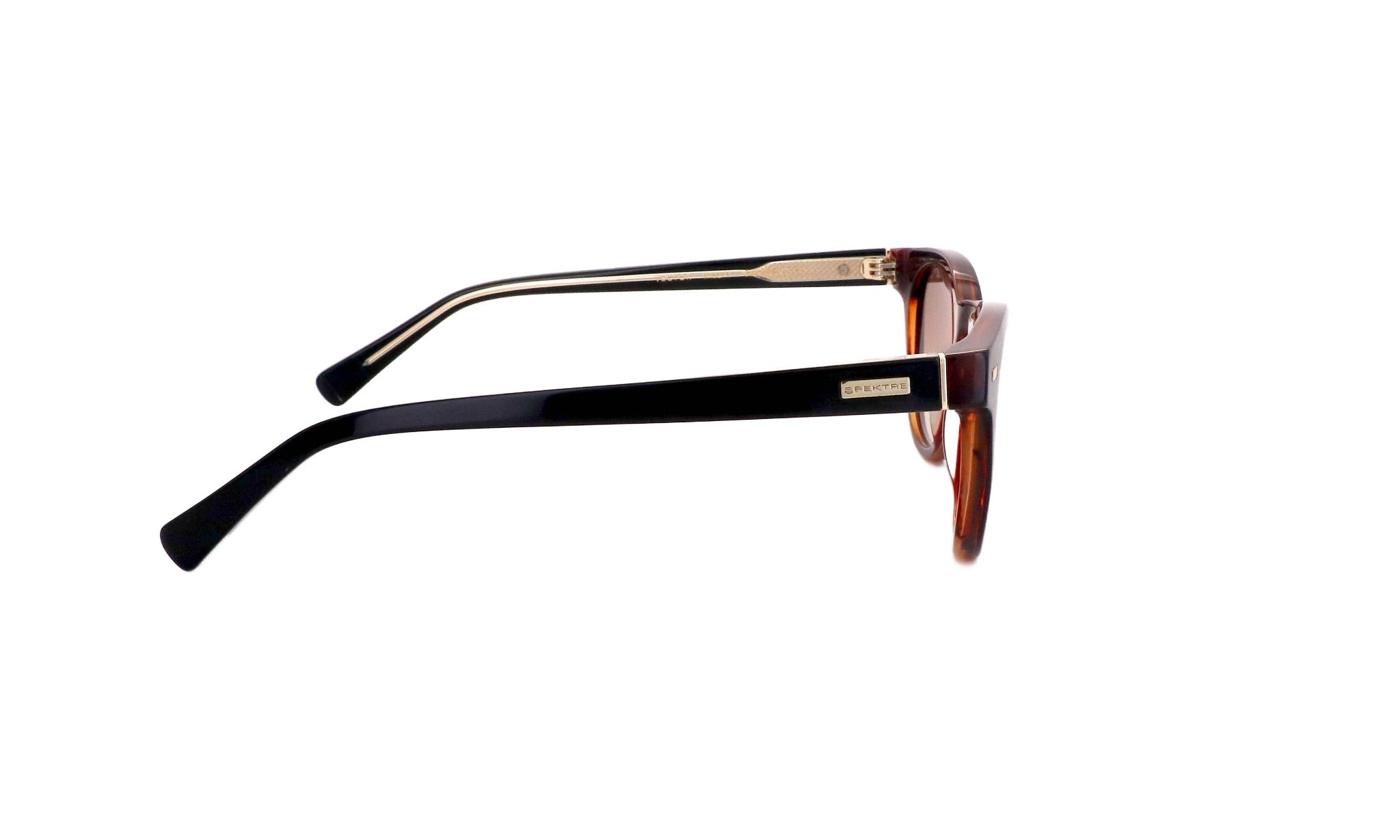 SPEKTRE VECTOR - Jorge Oculista