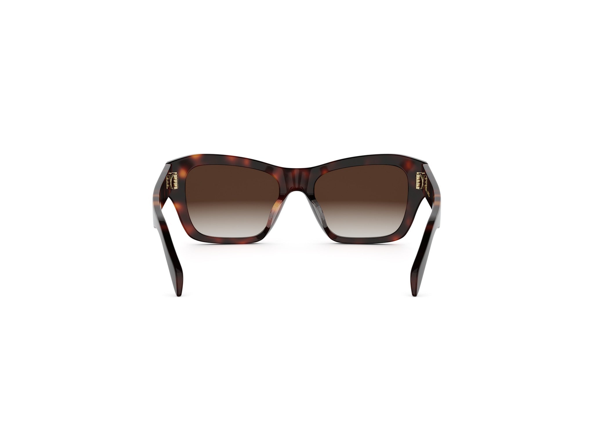 TRIOMPHE BUTTERFLY SUNGLASSES - Jorge Oculista