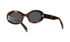 TRIOMPHE OVAL SUNGLASSES - Jorge Oculista