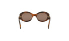 TRIOMPHE OVAL SUNGLASSES - Jorge Oculista