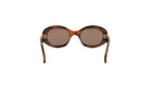 TRIOMPHE OVAL SUNGLASSES - Jorge Oculista