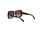 TRIOMPHE PILOT SUNGLASSES - Jorge Oculista